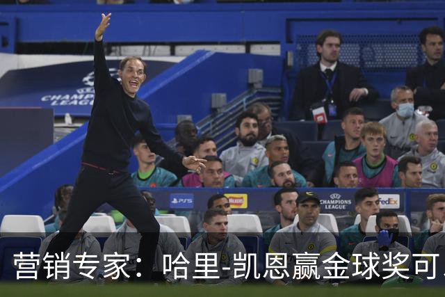 营销专家：哈里-凯恩赢金球奖可以挽救英国足球的声誉